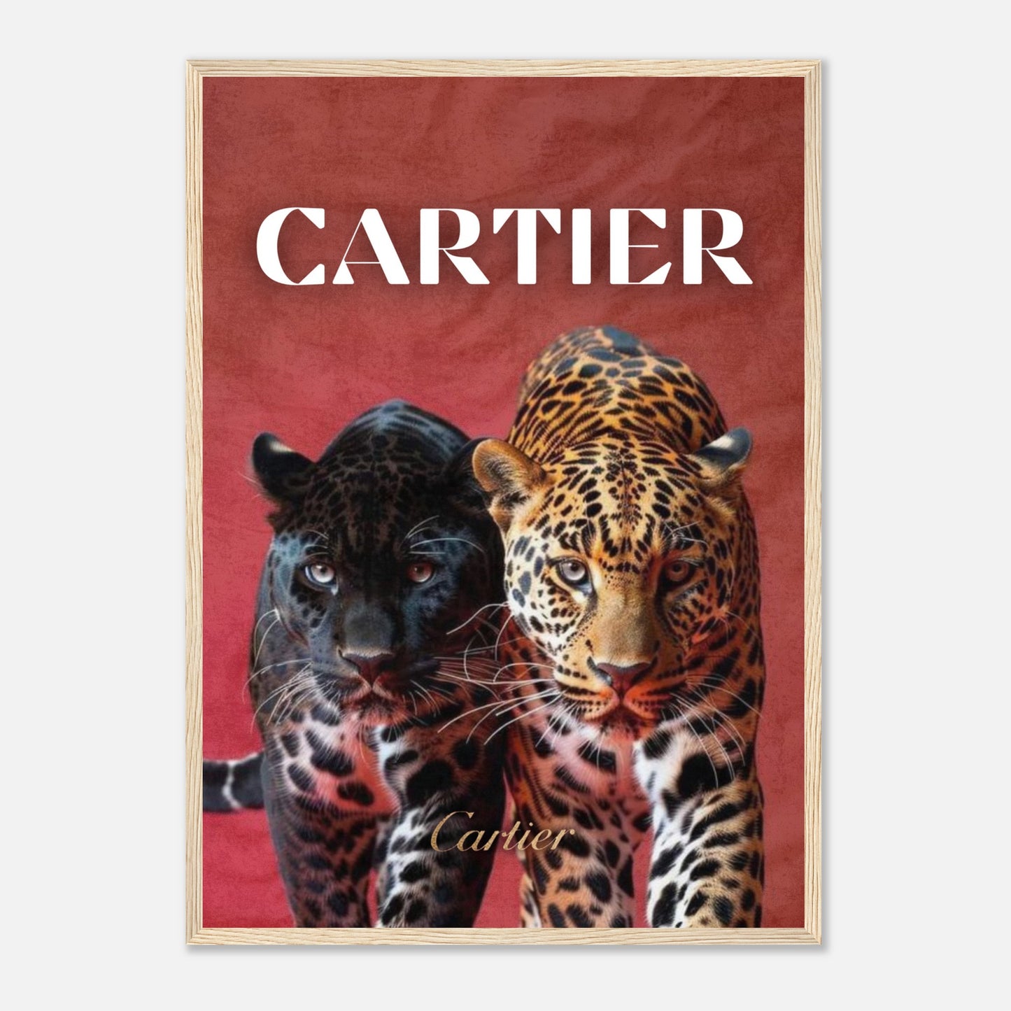 15976cce-0a09-452b-96bf-10518dfa4f23