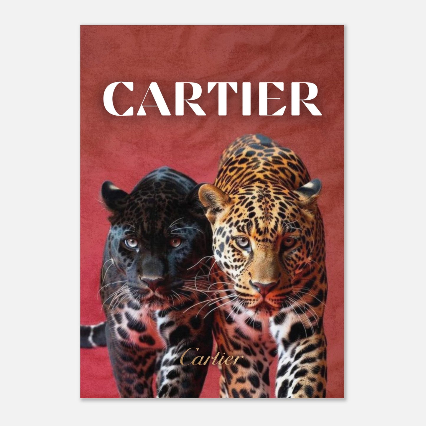 6d48dddf-554a-41c4-a9d4-8418ba0ff3cb